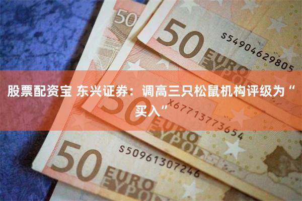 股票配资宝 东兴证券：调高三只松鼠机构评级为“买入”