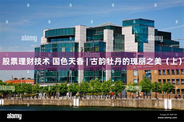 股票理财技术 国色天香 | 古韵牡丹的瑰丽之美（上）