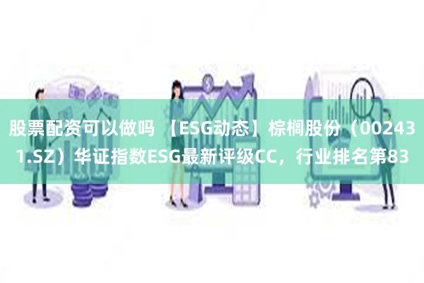 股票配资可以做吗 【ESG动态】棕榈股份（002431.SZ）华证指数ESG最新评级CC，行业排名第83