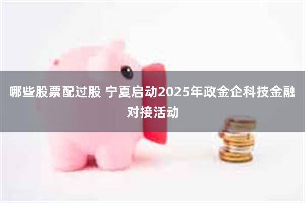 哪些股票配过股 宁夏启动2025年政金企科技金融对接活动