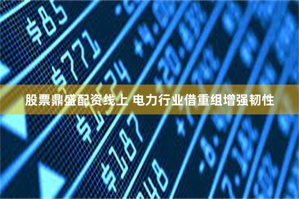 股票鼎盛配资线上 电力行业借重组增强韧性