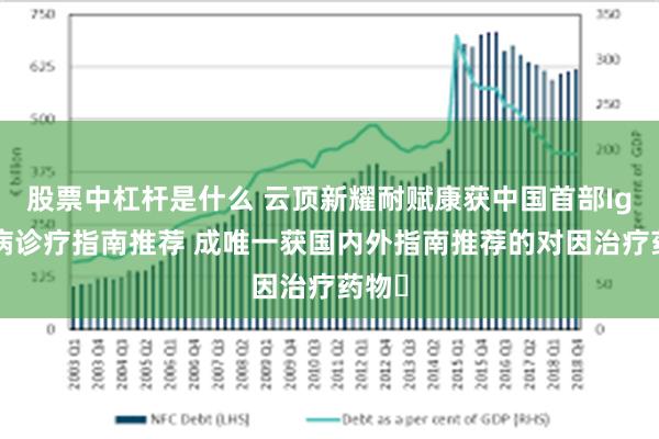 股票中杠杆是什么 云顶新耀耐赋康获中国首部IgA肾病诊疗指南推荐 成唯一获国内外指南推荐的对因治疗药物​