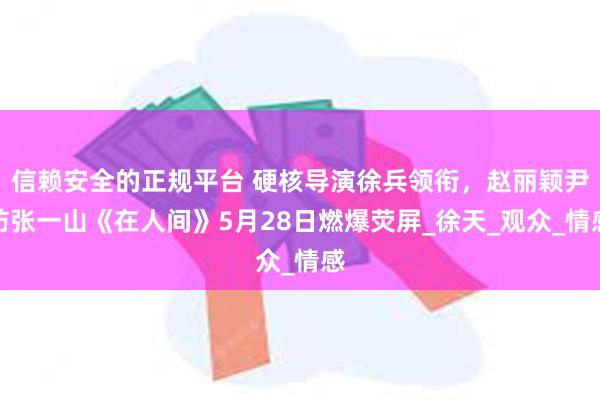 信赖安全的正规平台 硬核导演徐兵领衔，赵丽颖尹昉张一山《在人间》5月28日燃爆荧屏_徐天_观众_情感