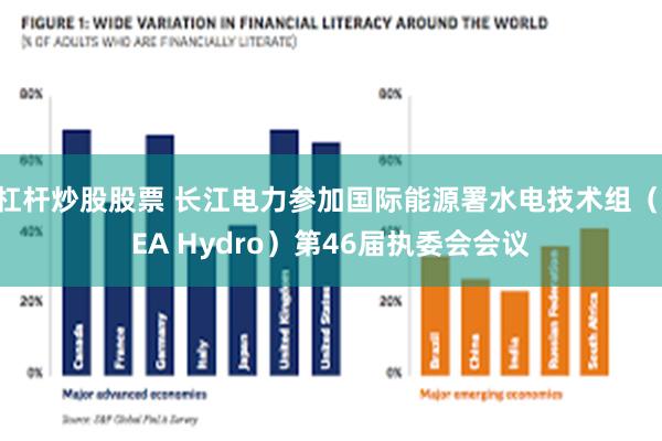 杠杆炒股股票 长江电力参加国际能源署水电技术组（IEA Hydro）第46届执委会会议