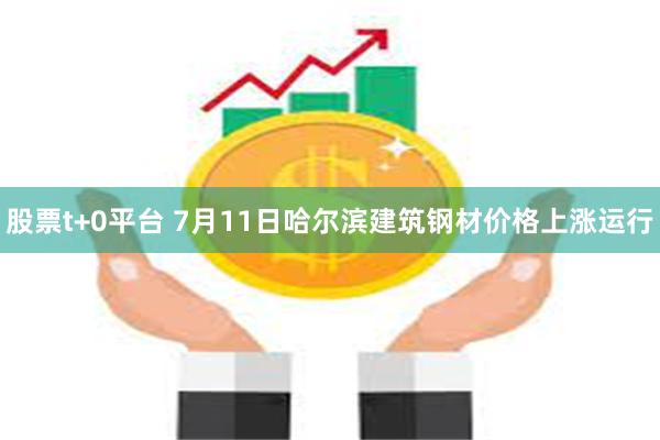 股票t+0平台 7月11日哈尔滨建筑钢材价格上涨运行