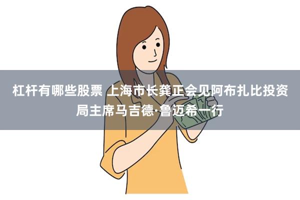 杠杆有哪些股票 上海市长龚正会见阿布扎比投资局主席马吉德·鲁迈希一行