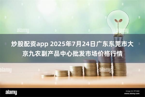 炒股配资app 2025年7月24日广东东莞市大京九农副产品中心批发市场价格行情