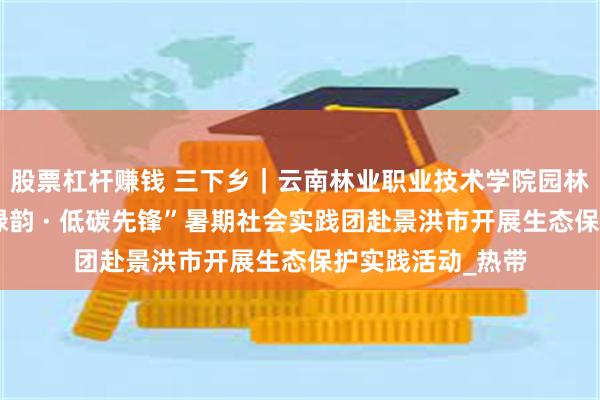 股票杠杆赚钱 三下乡｜云南林业职业技术学院园林园艺学院“雨林绿韵 · 低碳先锋”暑期社会实践团赴景洪市开展生态保护实践活动_热带
